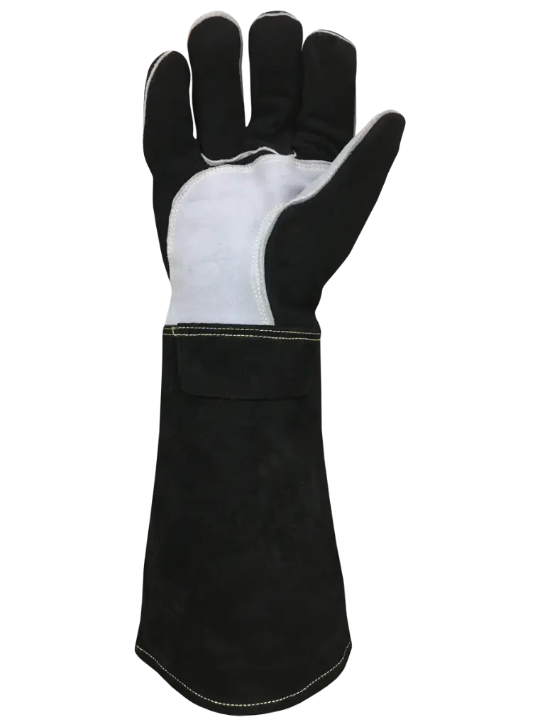 WSTK-Palm2.webp