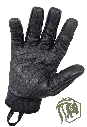 halo-1.webp