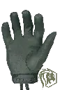 scar2.webp